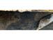 Gallery image 21